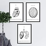 Nacnic Anatomie Poster 3er-Set. Vintage Stil Wanddekoration Abbildung von Herz Gehirn Lunge und andere Körperteile. Verschiedene menschliche Körper und Anatomie Bilder ohne Rahmen. Größe A4.