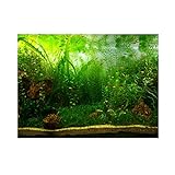 Hintergrund für Aquarium, PVC, Selbstklebend, grünes Wassergras, 91 * 41cm