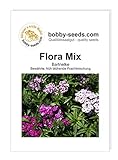 Flora, Bartnelke frühe Mischung von Bobby-Seeds Portion