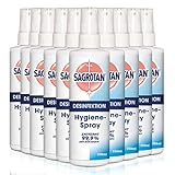 Sagrotan Hygiene Pumpspray Vorteilspack Sparpack Desinfektion Hygienespray 2,5l (10 Flaschen a 250ml)