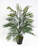 Palmenbusch / Zimmerpalme 60cm im Topf GA Kunstpflanzen Kunstpalmen künstliche Blumen Pflanzen Palme Dekopalme im Topf