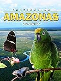 Faszination Südamerika Amazonas
