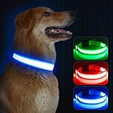 Kpuplol Leuchthalsband Hund, Hundehalsband Leuchtend, Wiederaufladbar Hundehalsband Leuchtend LED Halsband für Hunde Einstellbare Größe, 3 Beleuchtungsmodi für Kleine Mittlere Große Hunde (M, Blau)