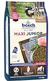bosch HPC Maxi Junior | Hundetrockenfutter zur Aufzucht großer Rassen (ab 25 kg) | 1 x 15 kg
