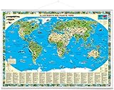Erlebniskarte „Illustrierte Weltkarte Tiere“ mit Metall-Beleistung