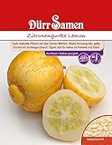Zitronengurke Lemon, eine stark rankende Pflanze, bildet zitronengroße gelbe Früchte mit Gurkengeschmack