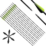 Deweey Pfeile Carbon, 31 Zoll Bogenpfeile für Bogenschießen mit Kunststoffbefiederung, Jagdpfeile für Bogen, Traditionellen Bogen, Recurvebogen und Langbogen, 12er Set