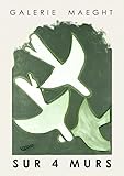 GYTRI CGFHJ Georges Braque Poster Georges Braque Leinwand Malerei Abstrakte Wandkunst 《Drei Vögel》Bild Georges Braque Drucke für Wohnkultur 40x60cm ung