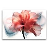CALVENDO Premium Textil-Leinwand 75 x 50 cm Querformat Amaryllis | Wandbild, HD-Bild auf Keilrahmen, Wanddekoration, Kunstdruck von Cathrin Illg