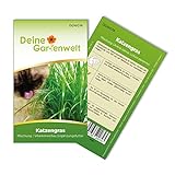 Katzengras Samen - Avena sativa und Lolium perenne - Katzengrassamen - 10 g Saatgut für etwa 5 Töpfe