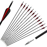REAWOW 12 St¨¹ck Bogenschie?en Mixed Carbon Arrows 30 Zoll Jagdpfeile f¨¹r Recurve Bow Longbow und Straight Bow Targeting Arrows ¡­