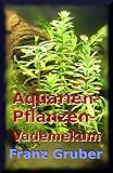 Aquarienpflanzen-Vademekum: Beliebte Wasserpflanzen für das Aquarium