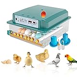 New Vida Inkubator Vollautomatische Hühnereier Hatcher Maschine für Hühner Inkubator Controller 36 Eier