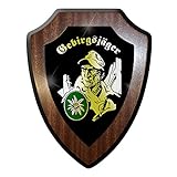 Wappenschild- Gebirgsjäger GebJg Edelweiss Bw Abzeichen Emblem #10042