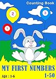 My First Numbers 1-50: Counting Book (English Edition)