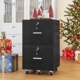 YITAHOME Mobiler Aktenschrank, Rollcontainer, Druckertisch, Abschließbar, 2 Schubladen Verstellbarer Hängeregistratur, Unterschrank, für Dokumente im A4- und Letter-Format, 40x40x68.5 cm (Schwarz)