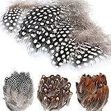 MWOOT 300 Stück Naturfedern braun Federn Indianer Federn basteln 5-13cm zum Basteln für Traumfänger Köstum, Hüte, Dreamcatcher oder Karneval Halloween Dek