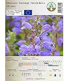 Kräutersamen - Drachenkopf/Türkische Melisse - Dracocephalum moldavica - 100 Samen