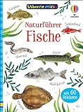 Usborne Minis Naturführer: Fische: mit 60 Stickern (Usborne-Minis-Reihe)