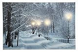 zeitzone LED Bild Schneelandschaft Wald Weihnachten Winterlandschaft Beleuchtet 38x58cm