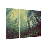 malango® Leinwandbild Wald 3-teilig Fotoleinwand Bäume Nebel Natur Wanddekoration Leinwand handgefertigt Wanddesign Kunstdruck Foto Bild mehrteilig 160 x 100 cm