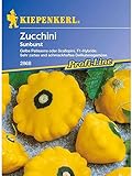Kiepenkerl Zucchini Sunburst