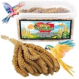 Bite & Delight 0,5kg Kolbenhirse Ganzjähriges Vogelfutter Ziervögel Wellensittiche Naturbelassene Hirsekolben Futter Papag