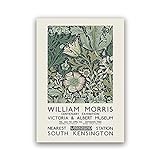 Vintage Poster und Drucke von William Morris, Ausstellung im Victoria and Albert Museum, rahmenlose LeinwandmalereiA1 30x45cm