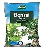 Westland Bonsai Erde, 4 l – Erde mit Tongranulat für starke Wurzeln und gesunde Blätter, Blumenerde zur ideale Wasser- und Nährstoffverteilung