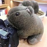 hokkk 18-28cm Simulation Wombat Plüschtier Gefüllte Wildtier Meerschweinchen Mauspuppen für Baby Kinder Kinder Geschenke 18cm
