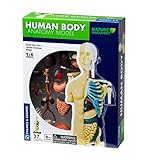 Thames & Kosmos 260830 Anatomie-Modell | 37 Teile mit Ständer und Leitfaden | Bauen Sie Ihren eigenen menschlichen Körper | Nature Discovery Serie | ab 8 Jahren | Multi