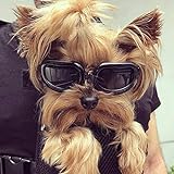 PETLESO Hunde Sonnenbrille Hundebrille Wasserdichter Anti-UV Sonnenbrillen für Kleine Hunde/Katzen - Schwarz