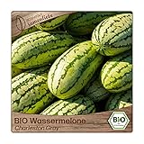 Samenliebe BIO Wassermelonen Samen Charleston Gray süße Riesenmelone lange Melone rot 10 Samen samenfestes Gemüse Saatgut für Gewächshaus Freiland und Balkon BIO Gemüsesamen