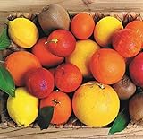 ARISTOS ca 3 kg gemischte Zitrusfrüchte Früchte-Box unbehandelte Orangen Clemetinen Zitronen Grapefruits Granatapfel Kiwi aus Griechenland