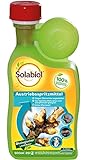 Solabiol Austriebsspritzmittel, gegen überwinternde Schädlinge wie Spinnmilben, Schildläuse und Wollläuse an Obst- und Ziergehölzen, 500 ml