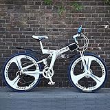 Aoyo Off-Road Variable Speed ​​Rennrad Mountainbike Falträder, 24-Zoll-Doppelscheibenbremse Fully Anti-Slip, Männer und Frauen, (Color : B, Size : 24Speed)