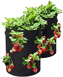 Pflanzsack 2X 43L Erdbeeren Pflanzsack aus Vliesstoff mit Griffen und 8 Seitliche Anbautaschen Pflanzsäcke für Balkon Pflanze und Gemüse Ø 35 x 45 cm (2X 10 Gallonen)