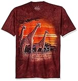 The Mountain Herren Sundown T-Shirt, braun, 4X-Groß