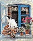 Malen Nach Zahlen Kits Schwarz-Weiß-Katze Außerhalb Des Tierfensters In Einer Modernen Naturlandschaft 40x50cm