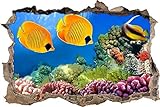 Wandaufkleber 3D Spiegel Ansicht Durchbrechen die Mauer Vinyl Wandsticker schöne Fische im Korallenriff Entfernbarer DIY Vinyl Wandtattoo für Wohnzimmer, Schlafzimmer,Kinderzimmer 53x80cm