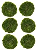 Künstliche Grasplatte Moosplatte Ziergras Ziermoos - Premium Qualität, 6 Stück (Ø 10 cm, Moosplatte)