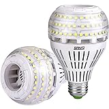 SANSI E27 LED Warmweiß Lampe, 27W (ersetzt 250W Glühbirne) Dimmbar LED Leuchtmittel, 5000 Kelvin 4000 Lumen, Superhell LED Leuchtmittel, 2er-Pack