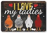 Tomlinsony Lustiges Hühner-Schild für draußen I Love My Ladies Metallschild für drinnen und draußen, lustiges Hühnerfarm Dekor