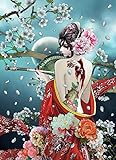 Generic Voller runder DIY Diamant malerei japanische Geisha Stickerei voller Strass kreuzstich Kimono Frau mosaik Dekoration Geschenk