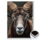 GRAZDesign Wandbild Steinbock zum Hinstellen & Aufhängen für Wohnzimmer, Küche Flur Aufsteller Hartschaum Weiß DINA 4