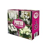 40x Blumenzwiebel Mix 'Patio City Garden White' | Dahlien, Gladiolen, Freesien, Ranunkeln | Weisse Blüten | Sommerblüher Ø 5-9 cm