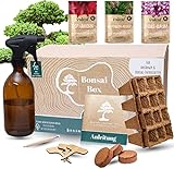 Bonsai Starter Kit I Dein eigener Bonsai I 3 berühmte Bonsai Samen für deinen selbst gezüchteten Bonsai Baum I inkl. Bonsai Zubehör und Sprühflasche I Das nachhaltige Bonsai Set I Bonsai züchten