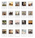 Achtsamkeit, Lebensweisheiten, inspirierende Zitate mit Bildern 20 verschiedene Postkarten Set im'Polaroid' Design