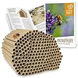 wildtier herz I 200 Insektenhotel Nisthülsen Ø 8mm, E-Book, längere Lebensdauer als Pappröhrchen aus Papier, Niströhren Füllmaterial Nisthilfe Bienen, Wildbienen