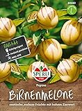 80680 Sperli Premium Birnenmelone Samen | Melonenbirne Samen | Pepino Samen | Pepino Melonenbirne Samen | Birnenmelone Pflanze | Melonenbirne Pflanze